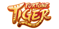 tiger fortune